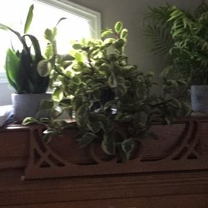 Meet your Posher, Kara